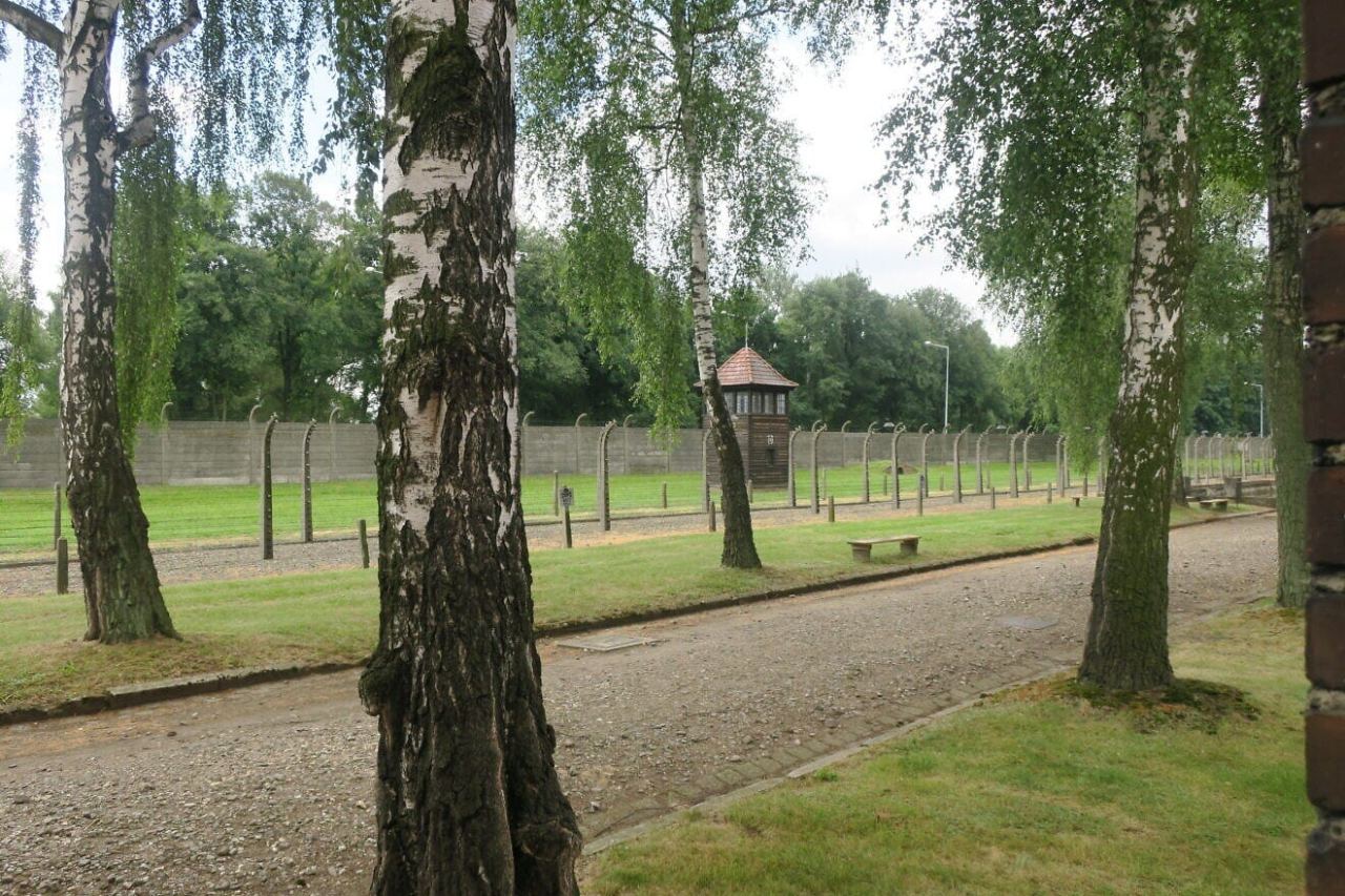 ‘Deep failure’ in ‘NYT’ framing of Zionism as explanation for attack on Michigan synagogue