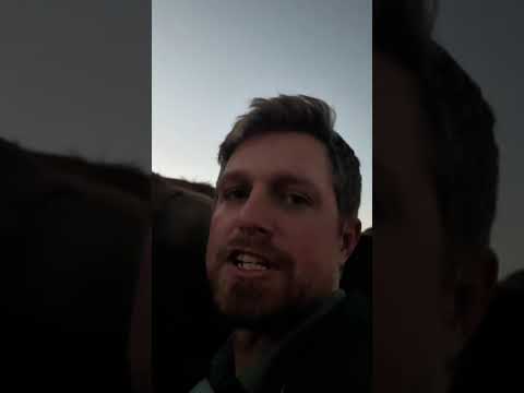 Milking and missiles…