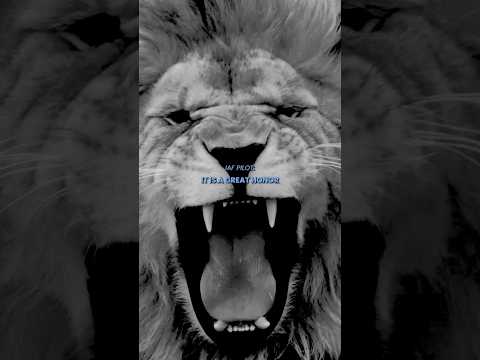 Best Partners: Israel and the U.S. Armed Forces