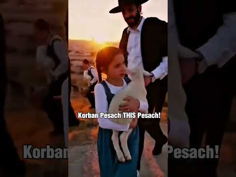 Korban Pesach 5786 – Make it Happen 💪🏻 #sacrifice #beishamikdash #pesach #passover #itstime
