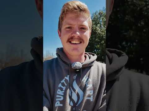 How we got them home